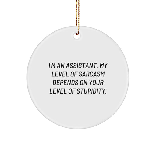 Funny Assistant Christmas Circle Ornament Gifts from Friends for Assistants - Image 1
