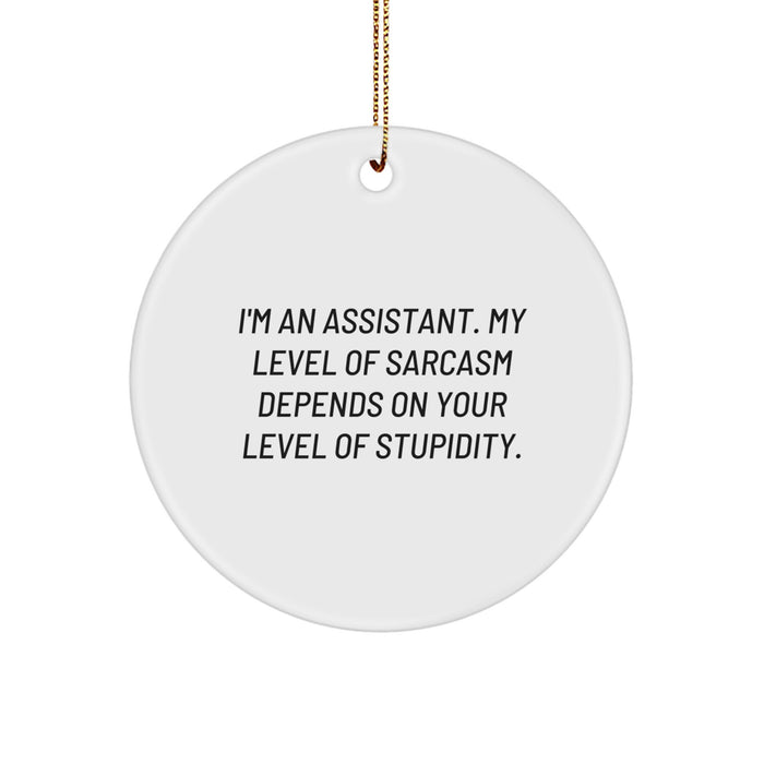 Funny Assistant Christmas Circle Ornament Gifts from Friends for Assistants - Image 1
