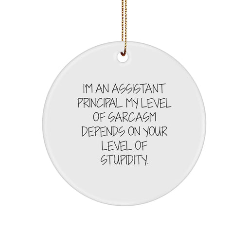 Funny Assistant Principal Gifts, Cute Circle Ornament for Men - I'm An Assistant Principal Quote Christmas Unique Presents from Coworkers - Image 1