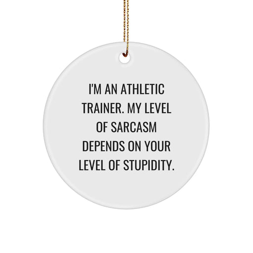 Funny Athletic Trainer Gifts from Friends for Christmas - Circle Ornament with Sarcasm Quote - Image 1