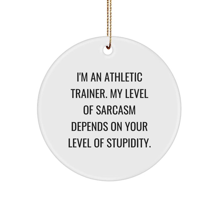 Funny Athletic Trainer Gifts from Friends for Christmas - Circle Ornament with Sarcasm Quote - Image 1