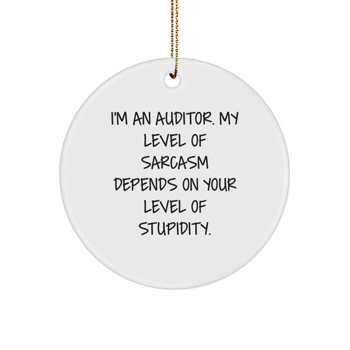 Auditor Funny Christmas Unique Gifts from Family for Auditor Friends - 'Sarcasm' Circle Ornament - Image 1