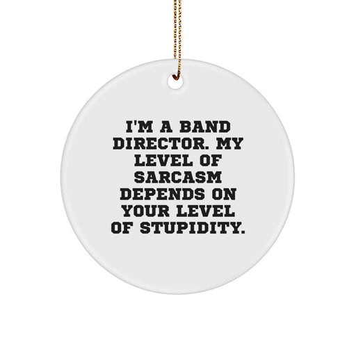 Funny Band Director Gifts from Men for Band Directors, 'I'm A Band Director. My Level Of Sarcasm Depends On Your Level Of Stupidity.' Christmas Unique Circle Ornament - Image 1