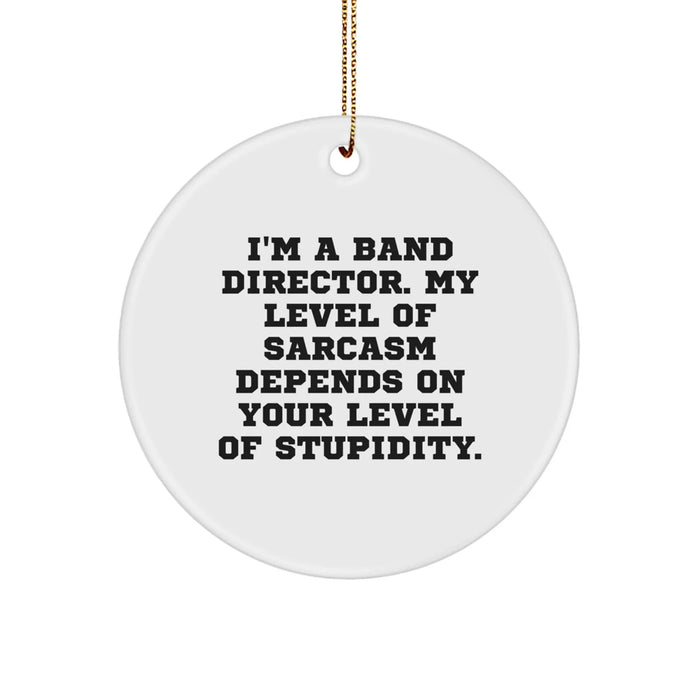 Funny Band Director Gifts from Men for Band Directors, 'I'm A Band Director. My Level Of Sarcasm Depends On Your Level Of Stupidity.' Christmas Unique Circle Ornament - Image 1