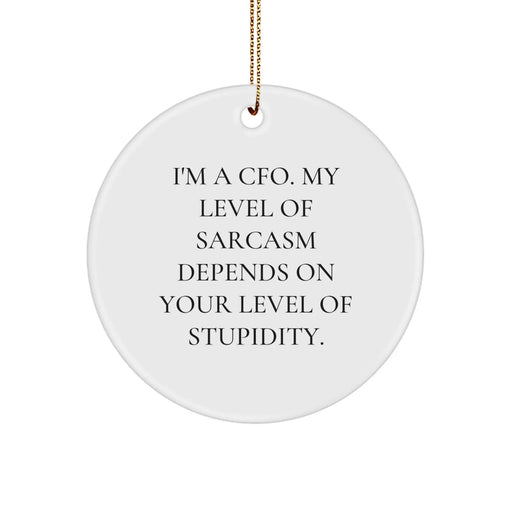 Funny CFO Gifts for Men, Unique Circle Ornament with Sarcasm Quote from CFO, Gifts from Friends for Christmas - Image 1