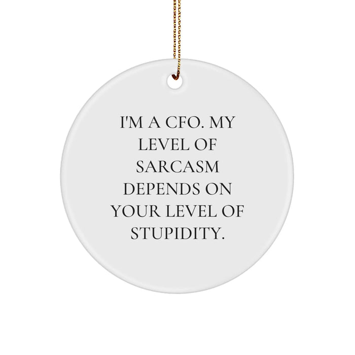 Funny CFO Gifts for Men, Unique Circle Ornament with Sarcasm Quote from CFO, Gifts from Friends for Christmas - Image 1