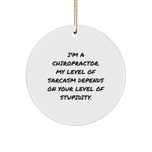 Funny Chiropractor Gifts from Men - Christmas Unique Circle Ornament for Chiropractor Friends, Coworkers, Women, Family - I'm A Chiropractor. My Level Of Sarcasm Depends On Your Level Of Stupidity. - Image 1