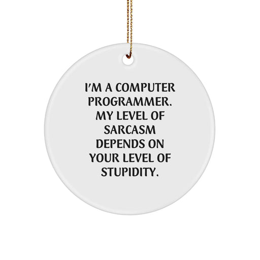 Funny Computer Programmer Circle Ornament Gifts from Friends for Christmas - Gifts for Him - Image 1