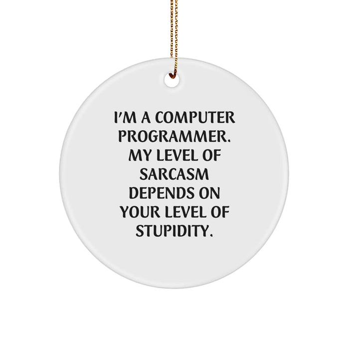 Funny Computer Programmer Circle Ornament Gifts from Friends for Christmas - Gifts for Him - Image 1