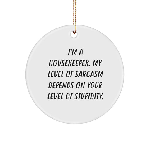 Funny Housekeeper Gifts, Housekeeper Humor Christmas Circle Ornament, 'I'm A Housekeeper My Level Of Sarcasm Depends On Your Level Of Stupidity' Gifts from Family Friends Coworkers - Image 1