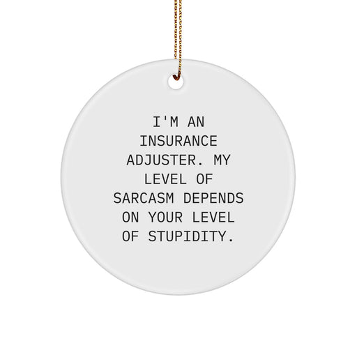Funny Insurance Adjuster Gifts, Sarcasm Ornaments for Christmas, Circle Ornament with Quote 'Level of Stupidity' for Insurance Adjuster Men Women Friends Family - Image 1
