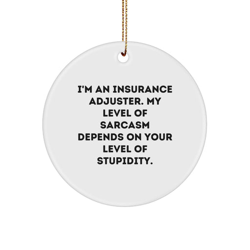 Funny Insurance Adjuster Gifts for Coworkers, Christmas Unique Circle Ornament, Stupidity Sarcasm Quote, Gifts from Family, Office Decor - Image 1