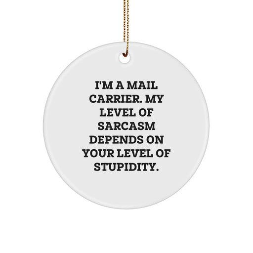 Funny Mail Carrier Gifts for Men, Sarcastic Christmas Unique Gifts from Friends, Coworkers, Family, Circle Ornament - Image 1