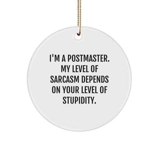 Funny Sarcasm Postmaster Gifts from Friends for Postmaster, Christmas Unique Circle Ornament, Postmaster Enthusiast Christmas Decoration, Sarcasm Level Gift for Postmaster - Image 1
