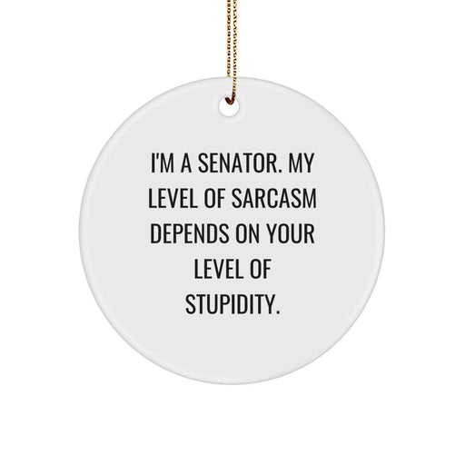 Funny Senator Gifts for Men, Senator Circle Ornament, Christmas Unique Presents from Friends, 'I'm A Senator. My Level Of Sarcasm Depends On Your Level Of Stupidity.' - Image 1