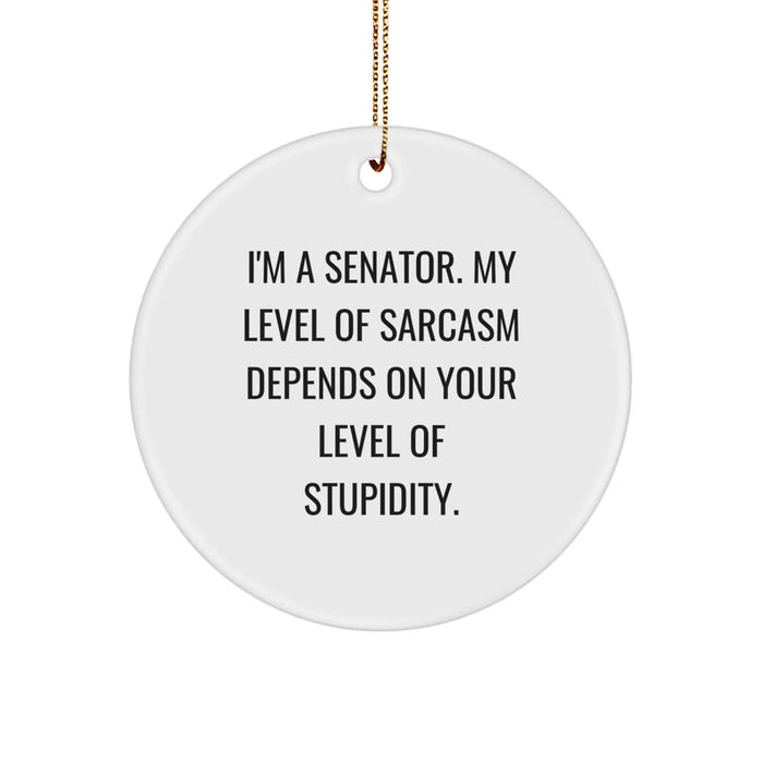 Funny Senator Gifts for Men, Senator Circle Ornament, Christmas Unique Presents from Friends, 'I'm A Senator. My Level Of Sarcasm Depends On Your Level Of Stupidity.' - Image 1