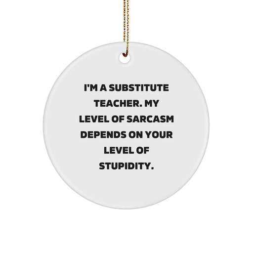 Funny Substitute Teacher Gifts for Women, Cute Christmas Unique Gifts from Friends, Circle Ornament with I'm A Substitute Teacher Sarcasm Depend - Image 1