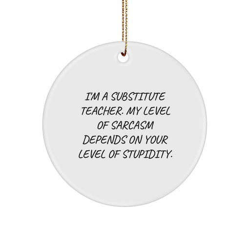 Funny Substitute Teacher Gifts - Gifts from Friends for Men, Women, Family, Coworkers - 'I'm A Substitute Teacher' Christmas Unique Gifts - Image 1