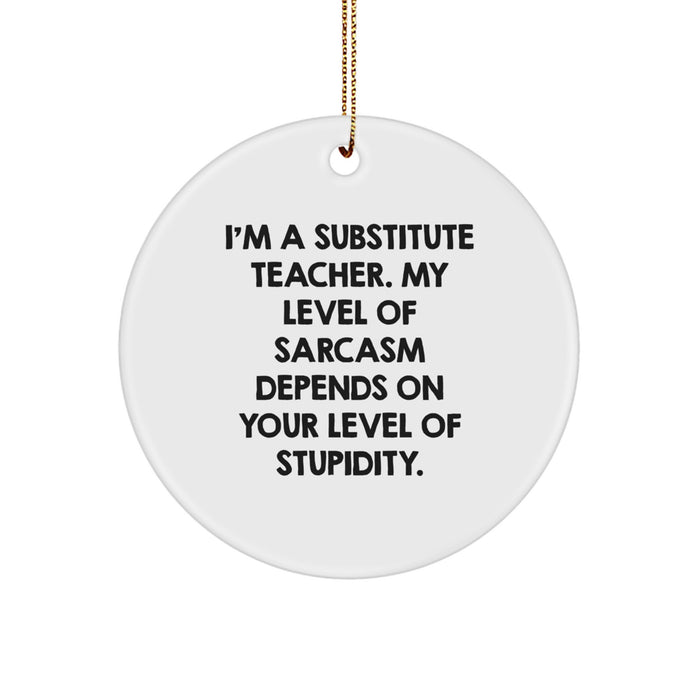 Funny Substitute Teacher Gifts for Men from Family, Unique Christmas Circle Ornament with Quirky Humor, 'I'm A Substitute Teacher...' - Image 1