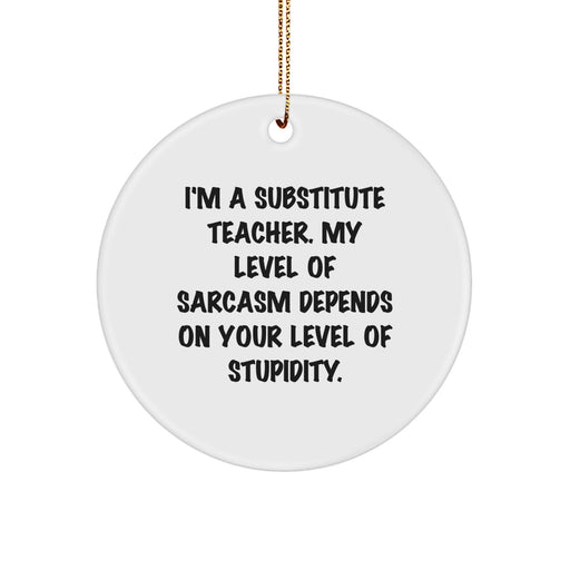 Funny Substitute Teacher Gifts, I'm A Substitute Teacher Quote Circle Ornament, Christmas Unique Gifts for Substitute Teachers, Gifts from Men, Women, Friends, Coworkers to Family - Image 1