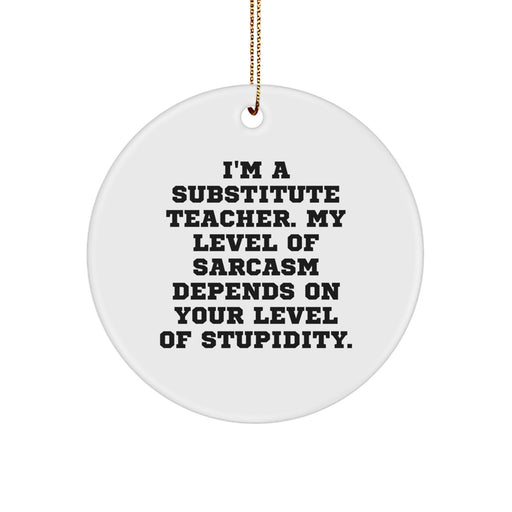 Funny Substitute Teacher Gifts from Friends - Christmas Unique Gifts for Men and Women, Circle Ornament with Sarcasm Quote - Image 1