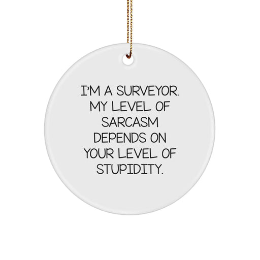 Funny Surveyor Gifts for Men - Surveyor Christmas Unique Gifts from Husband to Husband - I'm A Surveyor Level Of Sarcasm Depends On Your Level Of Stupidity Circle Ornament - Image 1