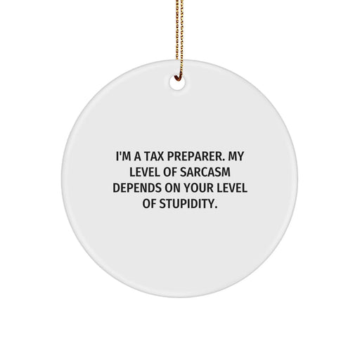Funny Tax Preparer Gifts from Friends - I'm A Tax Preparer - Christmas Unique Circle Ornament for Tax Preparer, Tax Professionals, and Accountants - Image 1
