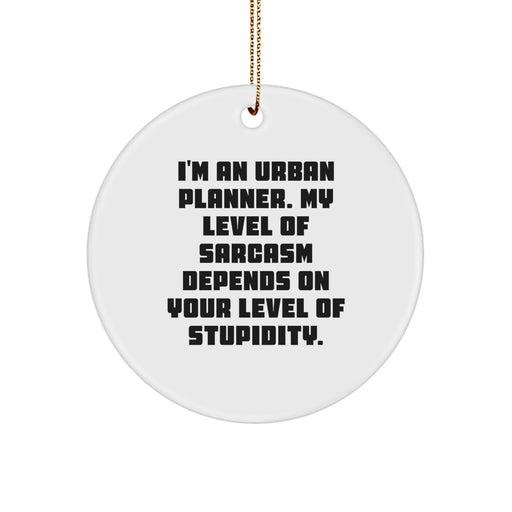Funny Urban Planner Gifts for Men Women Friends Family, 'I'm An Urban Planner. My Level Of Sarcasm Depends On Your Level Of Stupidity.' Circle Ornament, Christmas Unique Gifts from Family - Image 1