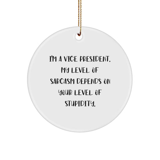 Funny Vice President Gifts for Men - I'm A Vice President Sarcasm Level Gift for Christmas Unique Ornament - Image 1