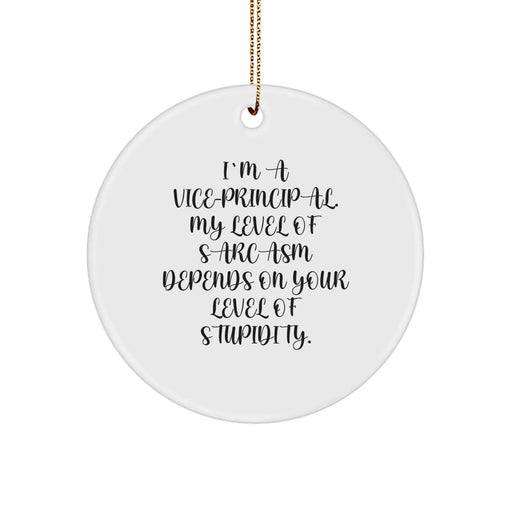 Funny Vice-principal Gifts, I'm A Vice-principal. My Level Of Sarcasm Depends On Your Level Of Stupidity., Christmas Unique Gifts for Vice-principal from Friends - Image 1