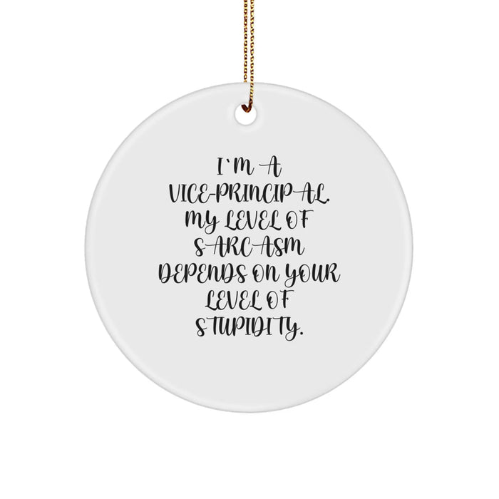 Funny Vice-principal Gifts, I'm A Vice-principal. My Level Of Sarcasm Depends On Your Level Of Stupidity., Christmas Unique Gifts for Vice-principal from Friends - Image 1
