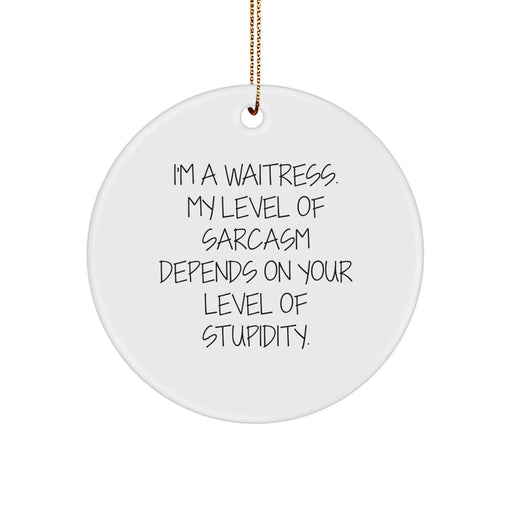 Funny Waitress Sarcasm Gift Circle Ornament For Waitress Christmas Unique Gifts from Friends - Image 1
