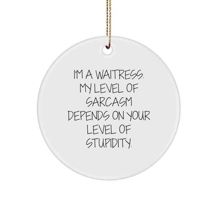 Funny Waitress Sarcasm Gift Circle Ornament For Waitress Christmas Unique Gifts from Friends - Image 1