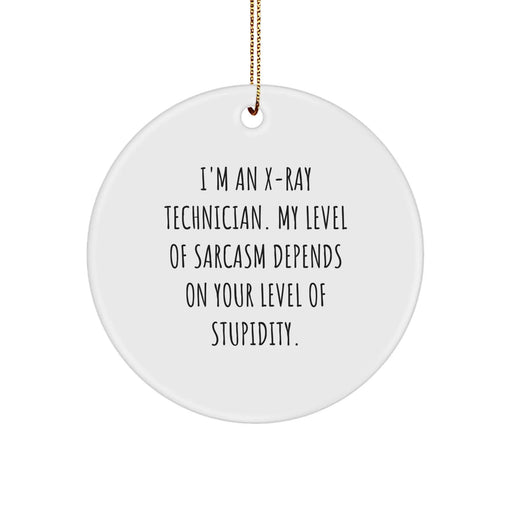 Funny X-Ray Technician Gifts from Friends for X-Ray Technician Men - Circle Ornament with Sassy X-Ray Technician Quote - Christmas Unique Christmas Unique Gifts for X-Ray Technician - Image 1