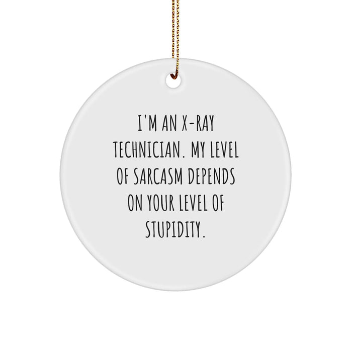 Funny X-Ray Technician Gifts from Friends for X-Ray Technician Men - Circle Ornament with Sassy X-Ray Technician Quote - Christmas Unique Christmas Unique Gifts for X-Ray Technician - Image 1