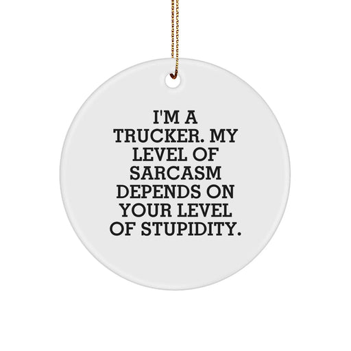 Funny Trucker Gifts from Friends for Trucker Christmas Unique Ornaments - Image 1