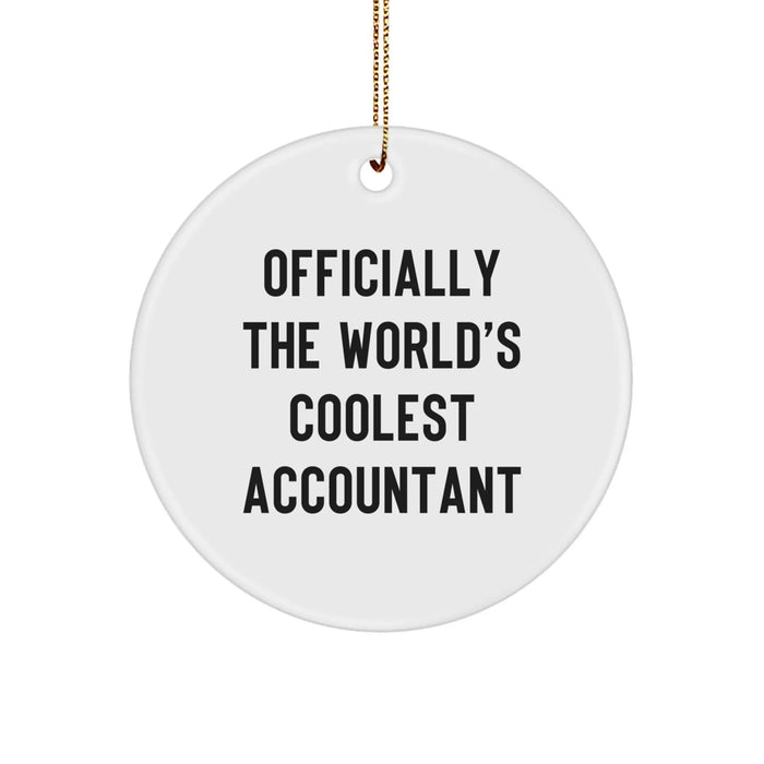 Funny Accountant Gifts for Men from Friends at Christmas - Inspirational Circle Ornament - Image 1