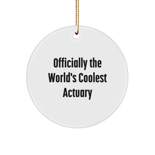 Actuary Fun Circle Ornament Gifts from Friends for Christmas - Image 1