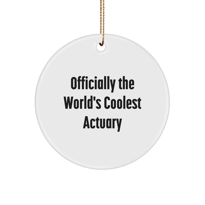 Actuary Fun Circle Ornament Gifts from Friends for Christmas - Image 1