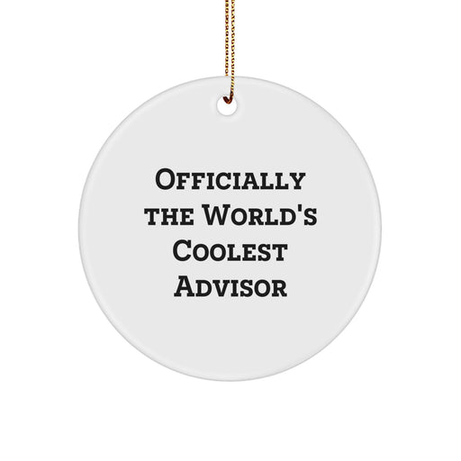 Funny Advisor Gifts from Friends for Advisors on Christmas Unique Gifts - Image 1