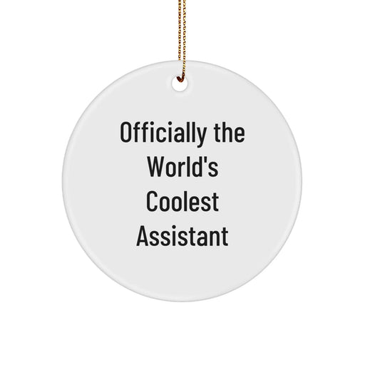Funny Assistant Circle Ornament Gifts from Friends for Assistant, Handmade Christmas Unique Gifts - Image 1