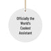 Funny Assistant Circle Ornament Gifts from Friends for Assistant, Handmade Christmas Unique Gifts - Image 1