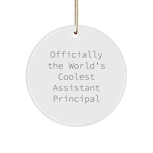 Funny Assistant Principal Gifts for Men, Officially The World's Coolest Assistant Principal, Circle Ornament Christmas Unique Gifts from Friends - Image 1