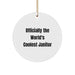 Funny Janitor Gifts from Men for Friends - Officially The World's Coolest Janitor - Circle Ornament - Image 1