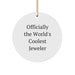 Funny Jeweler Gifts from Friends, Circle Ornament for Christmas Unique Gifts, Officially The World's Coolest Jeweler - Image 1