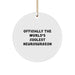 Funny Neurosurgeon Gifts from Men for World's Coolest Neurosurgeon Circle Ornament, Christmas Unique Decorations - Image 1