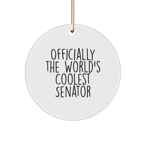 Funny Senator Circle Ornament, Gifts from Friends for Christmas Unique Senator - Image 1
