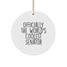 Funny Senator Circle Ornament, Gifts from Friends for Christmas Unique Senator - Image 1