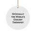 Funny Therapist Gifts from Men, Unique Circle Ornament for Therapists, Christmas Unique Gifts - Image 1