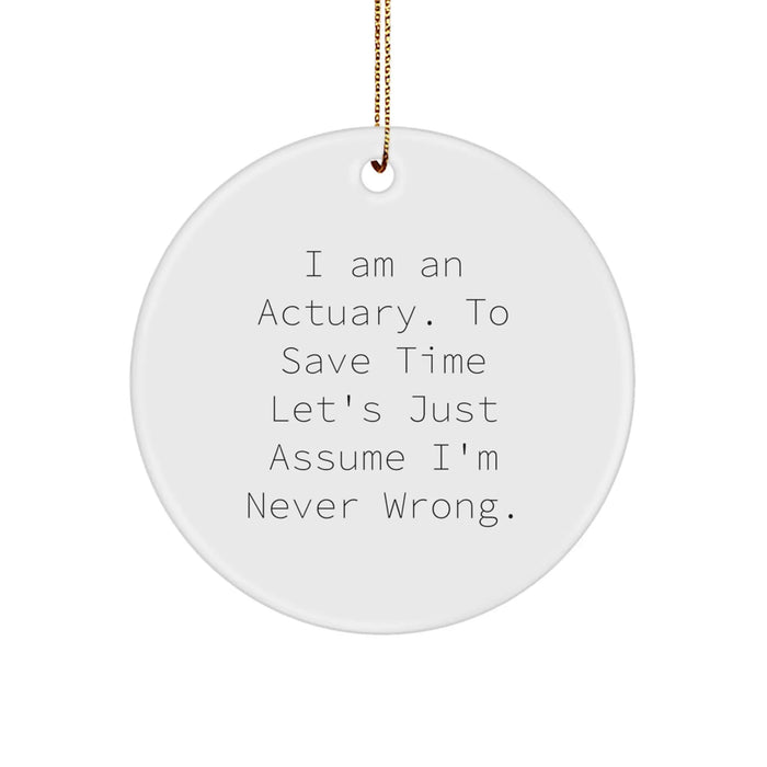 Funny Actuary Gifts for Men, Actuary Christmas Unique Gifts from Friends, Circle Ornament for Actuary Office Decor - Image 1